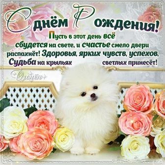 Открытки 13 лет девочке с днем рождения